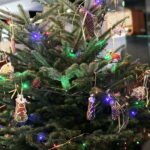 Akcja "Choinka pod choinkę". Ubieranie drzewka przez Ojców Oblatów z Klasztoru Misjonarzy Oblatów Maryi Niepokalanej na Świętym Krzyżu / Marzena Mąkosa / Radio Kielce