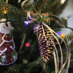 Akcja "Choinka pod choinkę". Ubieranie drzewka przez Ojców Oblatów z Klasztoru Misjonarzy Oblatów Maryi Niepokalanej na Świętym Krzyżu / Marzena Mąkosa / Radio Kielce