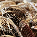 Akcja "Choinka pod choinkę". Ubieranie drzewka przez Ojców Oblatów z Klasztoru Misjonarzy Oblatów Maryi Niepokalanej na Świętym Krzyżu / Marzena Mąkosa / Radio Kielce