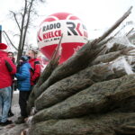 Radio Kielce rozdaje choinki na kieleckim Rynku / Marzena Mąkosa / Radio Kielce