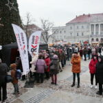 Radio Kielce rozdaje choinki na kieleckim Rynku / Marzena Mąkosa / Radio Kielce