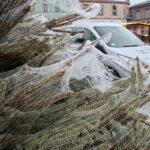 Radio Kielce rozdaje choinki na kieleckim Rynku / Marzena Mąkosa / Radio Kielce