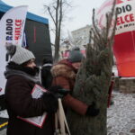 Radio Kielce rozdaje choinki na kieleckim Rynku / Marzena Mąkosa / Radio Kielce