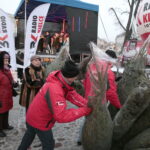 Radio Kielce rozdaje choinki na kieleckim Rynku / Marzena Mąkosa / Radio Kielce