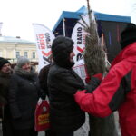 Radio Kielce rozdaje choinki na kieleckim Rynku / Marzena Mąkosa / Radio Kielce