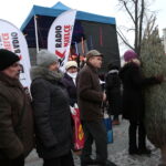 Radio Kielce rozdaje choinki na kieleckim Rynku / Marzena Mąkosa / Radio Kielce