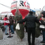 Radio Kielce rozdaje choinki na kieleckim Rynku / Marzena Mąkosa / Radio Kielce