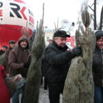 Radio Kielce rozdaje choinki na kieleckim Rynku / Marzena Mąkosa / Radio Kielce