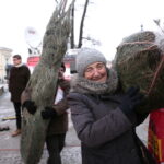 Radio Kielce rozdaje choinki na kieleckim Rynku / Marzena Mąkosa / Radio Kielce