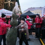Radio Kielce rozdaje choinki na kieleckim Rynku / Marzena Mąkosa / Radio Kielce