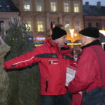 Radio Kielce rozdaje choinki na kieleckim Rynku / Marzena Mąkosa / Radio Kielce