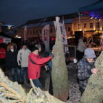 Radio Kielce rozdaje choinki na kieleckim Rynku / Marzena Mąkosa / Radio Kielce