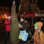 Radio Kielce rozdaje choinki na kieleckim Rynku / Marzena Mąkosa / Radio Kielce