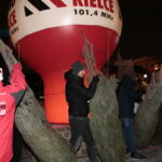 Radio Kielce rozdaje choinki na kieleckim Rynku / Marzena Mąkosa / Radio Kielce