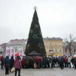 Radio Kielce rozdaje choinki na kieleckim Rynku / Marzena Mąkosa / Radio Kielce