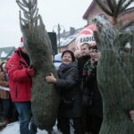 Choinki dla słuchaczy Radia Kielce / Marzena Mąkosa / Radio Kielce