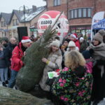 Choinki dla słuchaczy Radia Kielce / Marzena Mąkosa / Radio Kielce