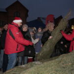 Choinki dla słuchaczy Radia Kielce / Marzena Mąkosa / Radio Kielce