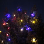 Kazimierza. Świąteczne iluminacje / Marzena Mąkosa / Radio Kielce