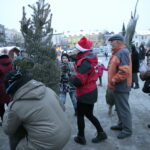 Choinki dla słuchaczy Radia Kielce / Marzena Mąkosa / Radio Kielce