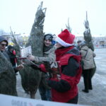 Choinki dla słuchaczy Radia Kielce / Marzena Mąkosa / Radio Kielce