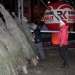 Choinki dla słuchaczy Radia Kielce / Marzena Mąkosa / Radio Kielce