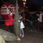 Choinki dla słuchaczy Radia Kielce / Marzena Mąkosa / Radio Kielce