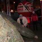 Choinki dla słuchaczy Radia Kielce / Marzena Mąkosa / Radio Kielce