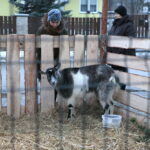 Żywa szopka przy Szkole Podstawowej im. Stefana Żeromskiego w Brynicy / Marzena Mąkosa / Radio Kielce