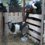 Żywa szopka przy Szkole Podstawowej im. Stefana Żeromskiego w Brynicy / Marzena Mąkosa / Radio Kielce