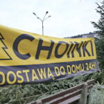 Drzewka świąteczne na Placu Wolności / Marzena Mąkosa / Radio Kielce