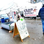 Karpie / Marzena Mąkosa / Radio Kielce