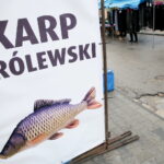 Karpie / Marzena Mąkosa / Radio Kielce