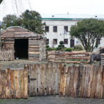 Żywa szopka w Klasztorze Franciszkanów / Marzena Mąkosa / Radio Kielce