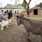 Żywa szopka w Klasztorze Franciszkanów / Marzena Mąkosa / Radio Kielce