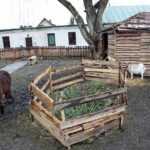 Żywa szopka w Chęcinach / Marzena Mąkosa / Radio Kielce