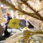 Choinka pod choinkę. Drugi dzień akcji / Paweł Solarz / Radio Kielce