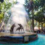 Meksyk / Mirosław Lubarski