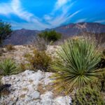 Meksyk / Mirosław Lubarski