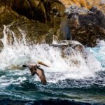 Meksyk / Mirosław Lubarski