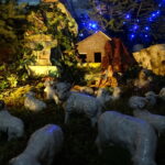 Szopka bożonarodzeniowa opatowskich Bernardynów / Emilia Sitarska / Radio Kielce