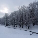 Zima w Ostrowcu / Emilia Sitarska / Radio Kielce