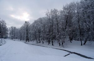 Zima w Ostrowcu / Emilia Sitarska / Radio Kielce