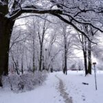 Zima w Ostrowcu / Emilia Sitarska / Radio Kielce