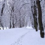 Zima w Ostrowcu / Emilia Sitarska / Radio Kielce