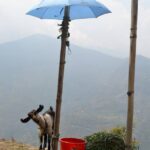 Nepal / Katarzyna Barwicka