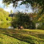 Londyn / Mikołaj Wyrzykowski / Radio Kielce