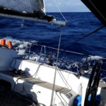 Regaty ARC przez Atlantyk / Andrzej Pacanowski