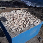 Regaty ARC przez Atlantyk / Andrzej Pacanowski