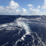 Regaty ARC przez Atlantyk / Andrzej Pacanowski